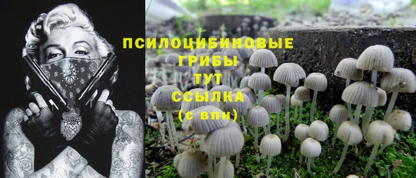 а пвп мука Вяземский
