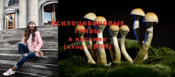 mix Вязьма