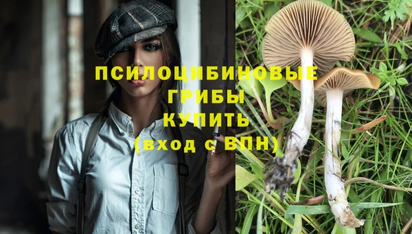 Альфа ПВП Вязники