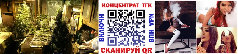 Дистиллят ТГК THC oil  Купить где  Щёлкино 